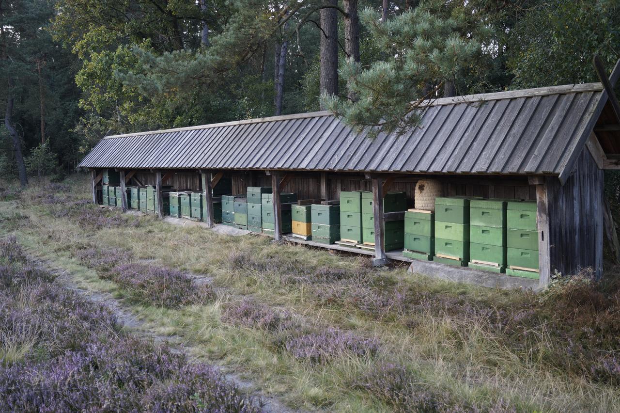 Ferienwohnungen / Ferienhaus Wahlers Bispingen Exteriér fotografie