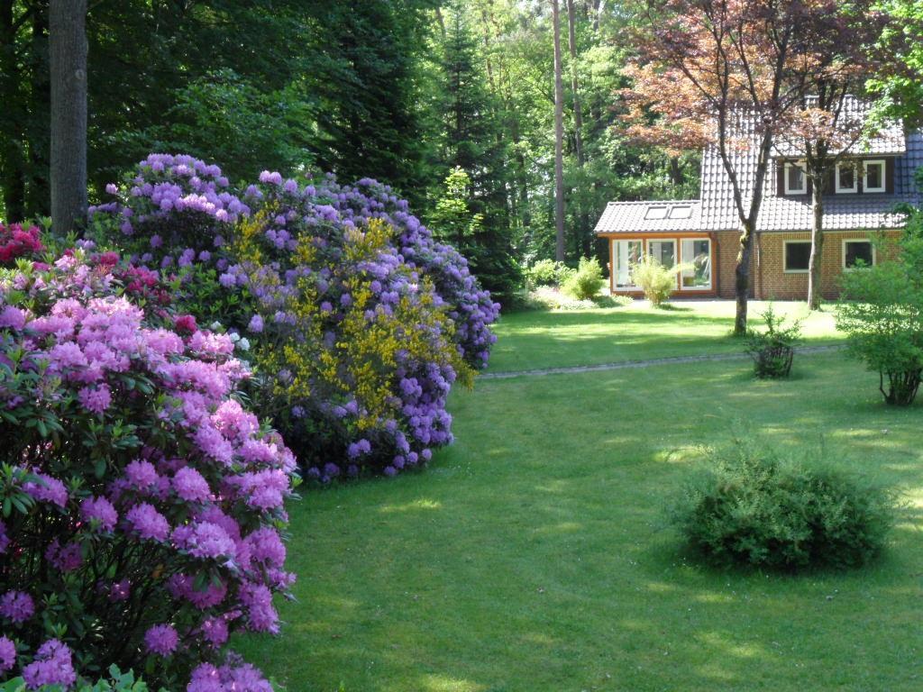 Ferienwohnungen / Ferienhaus Wahlers Bispingen Exteriér fotografie